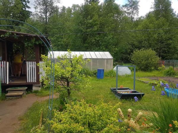 Продается дача у леса по адресу: Ленинградская область, Тосненский район, Никольское городское поселение, массив Захожье-2 — фото 3